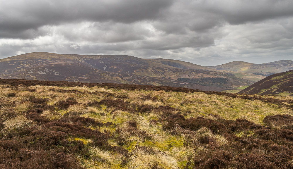 The Cheviot The Cheviot
